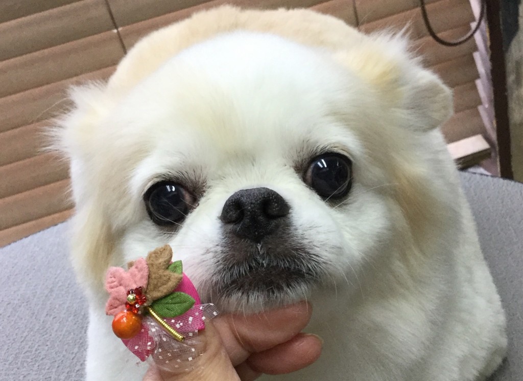 FBA66183-1B35-421E-800D-6AA99C74CFA6