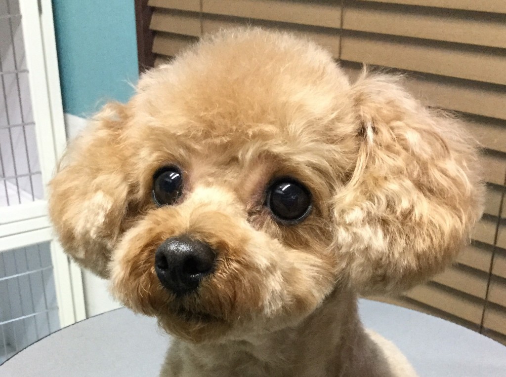 FC23E866-6545-4D63-AEC7-0A2EE3C720D1