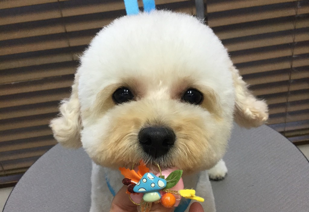 FC459F67-7743-4054-AC0A-33241C1B5B60