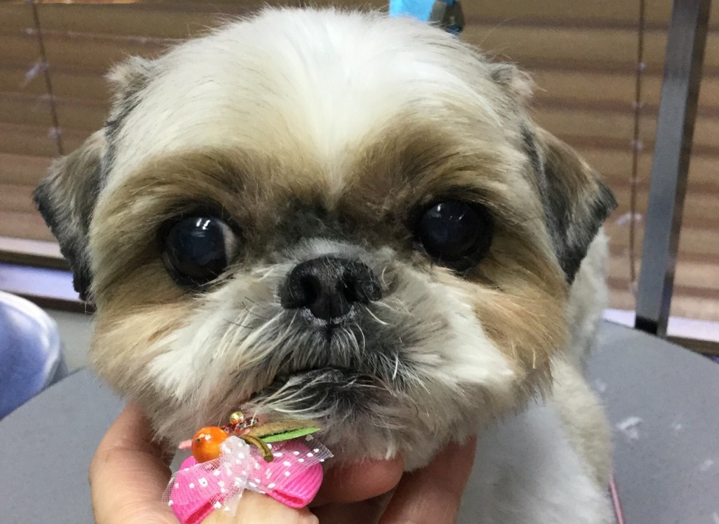 FE1E85C4-8256-4148-8A13-E8E42BE98FF8