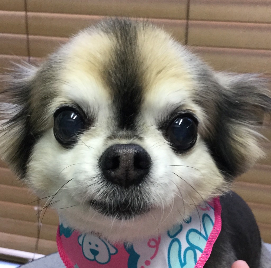 FF0D6D6E-00A9-4879-AEE3-7EDD0079F342