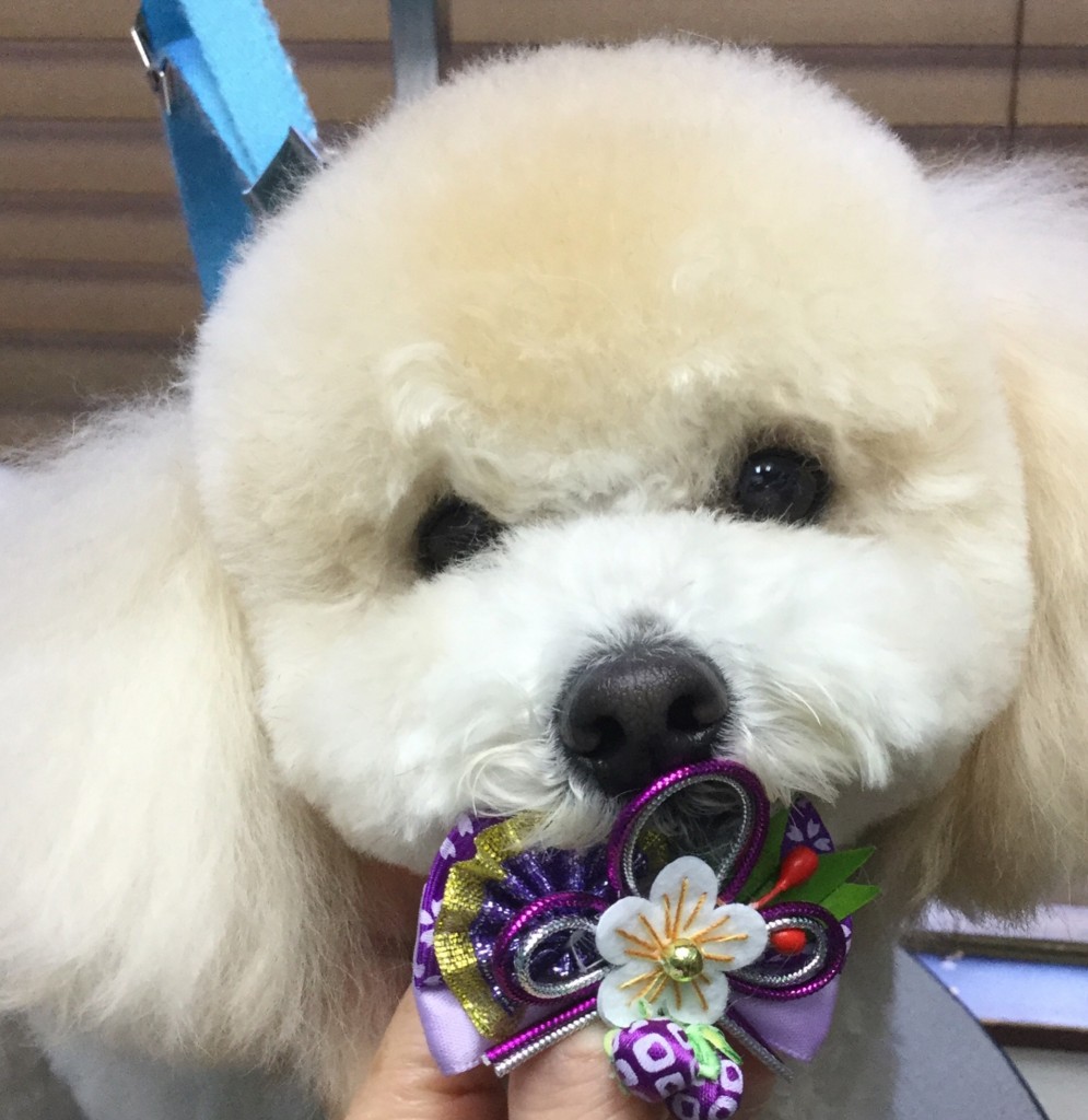 046337F8-05D0-462A-B90E-4F6D4298A202