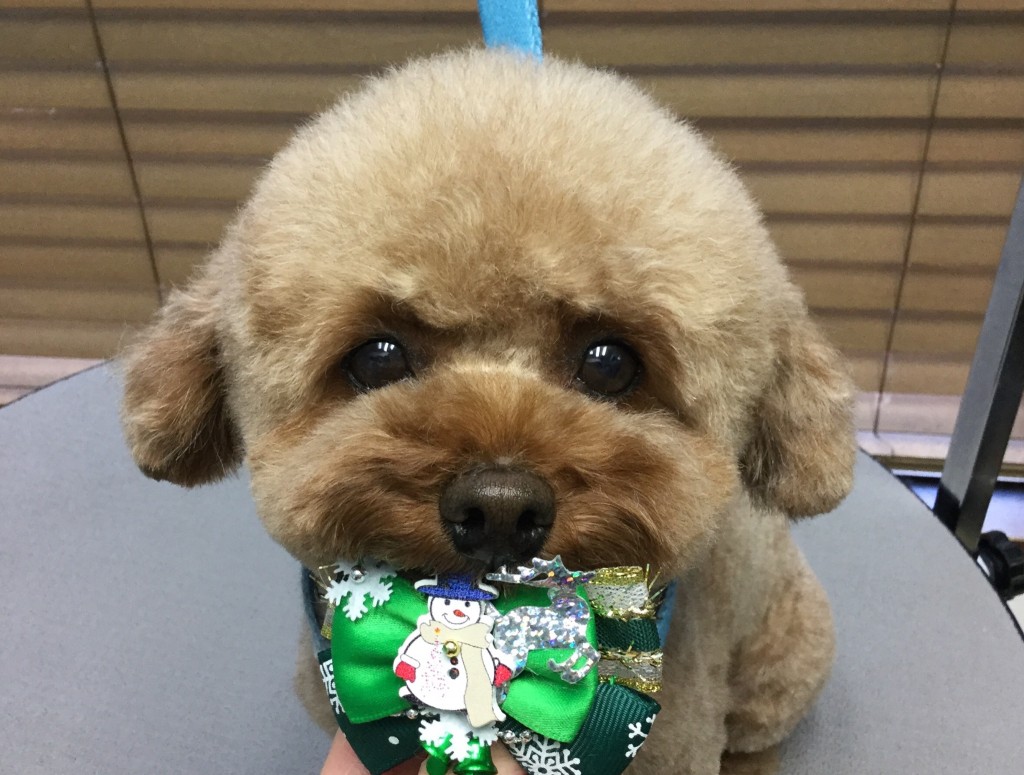 04A52486-59B2-4D27-B735-6037CD5B36B0