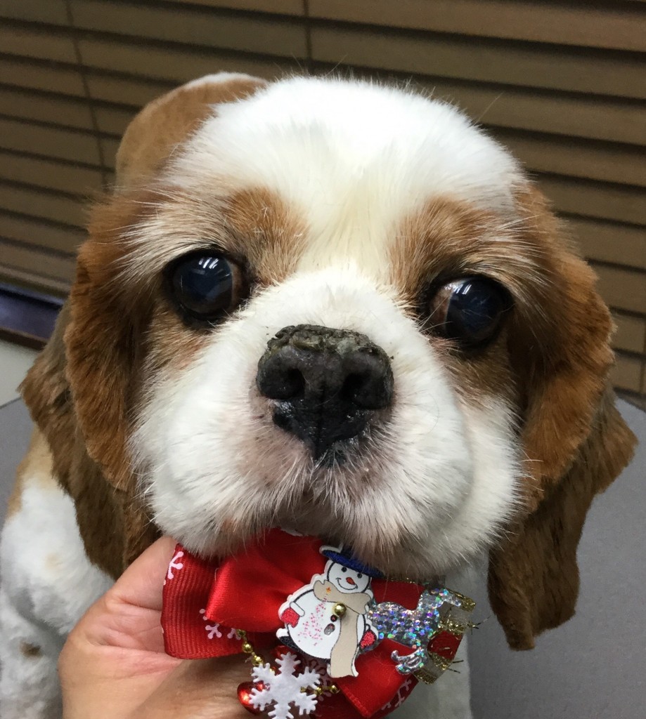 05844927-73C2-4213-92D7-D319191AD7E2