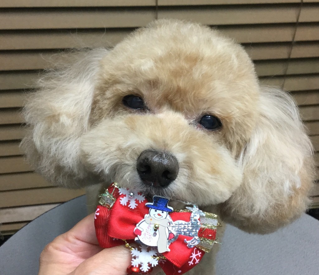 05A3DD15-FD87-4D3F-AA97-64FD1AD346B7