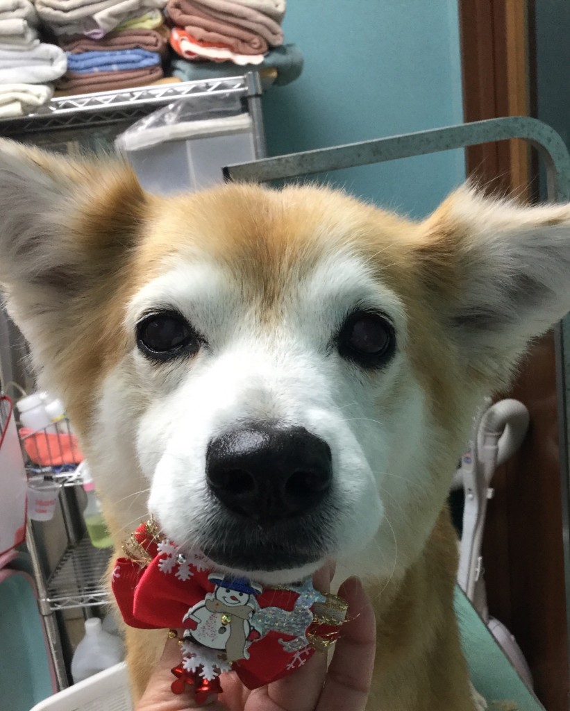 06BDEABD-6A90-45D2-B854-454D6B6752D6