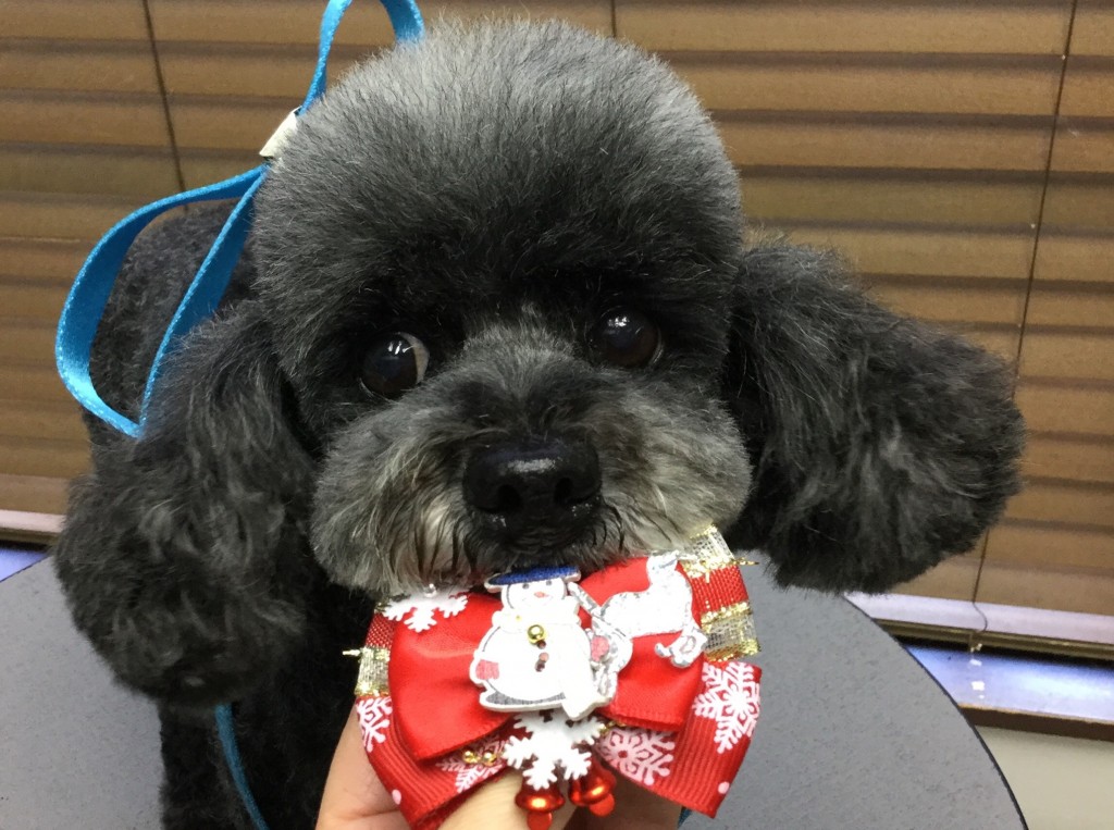 0C7D151B-4478-4690-808E-791B6A6559DF