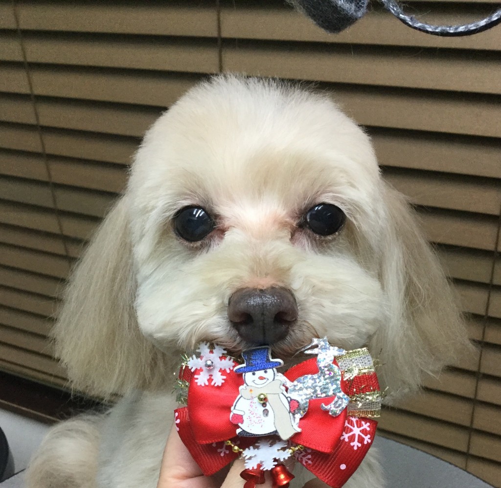 0CADA3D9-C077-4526-9FC5-7A3A1FF5AC15