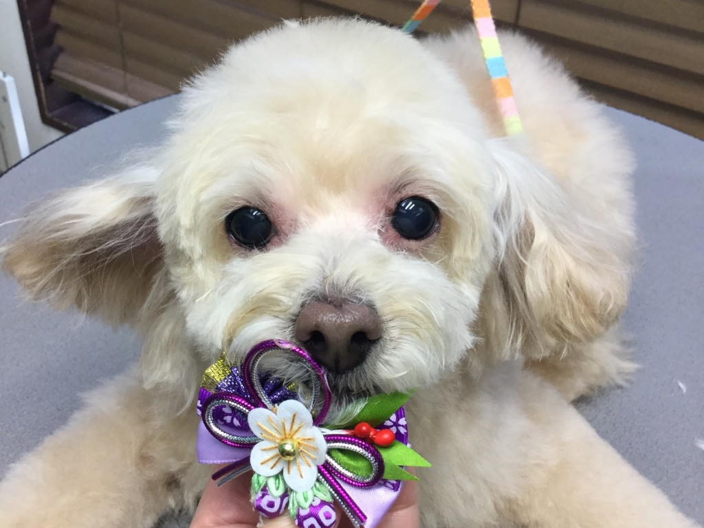 0E5B5D98-DF80-4117-B2DF-3706F881E2A6