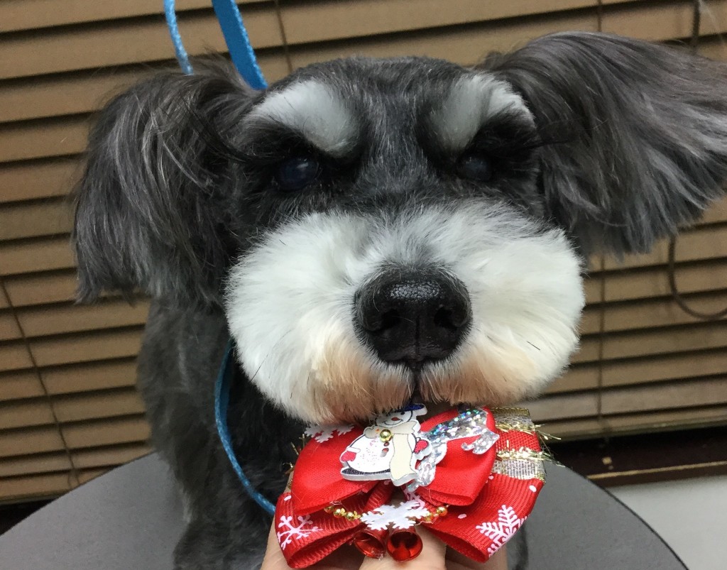 0EB8F8DC-E110-421A-BD70-0507141B96A5