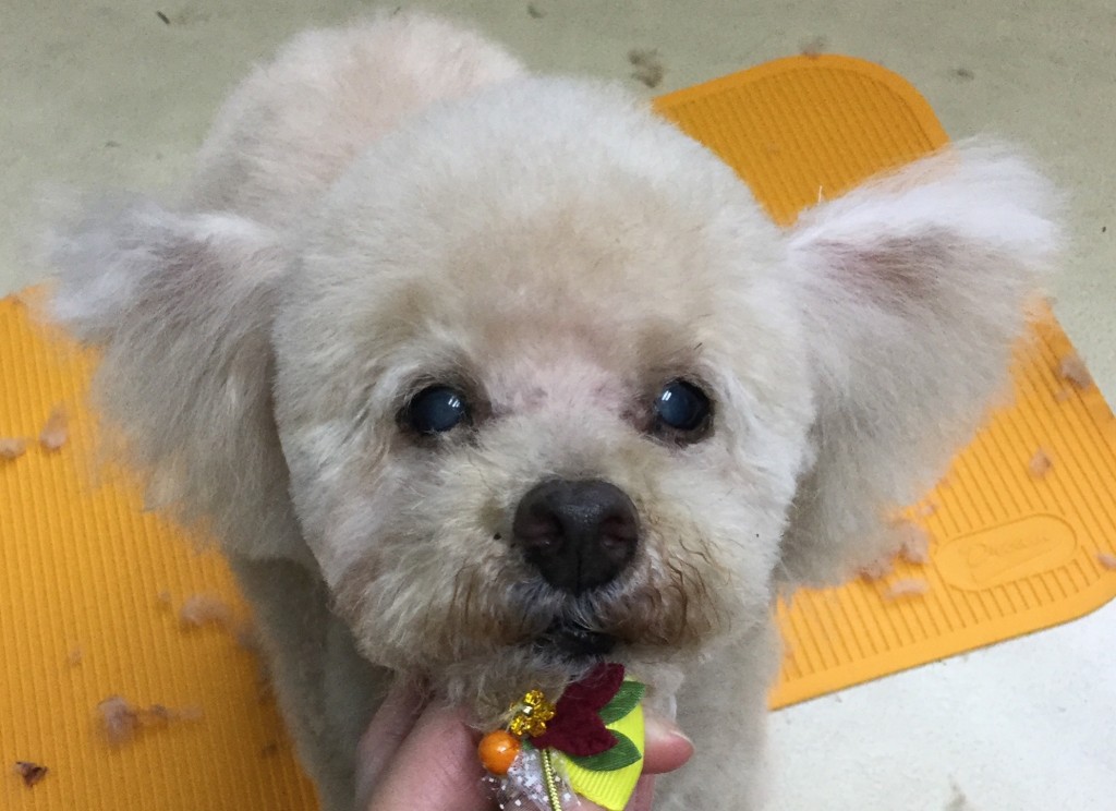 0F62E648-488A-456A-B241-CA1DFA803668