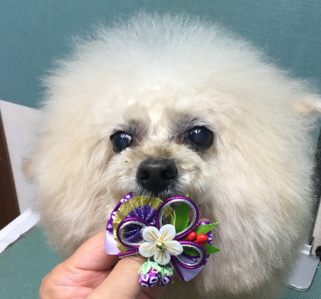 11220AFE-2C6D-4721-B4FB-E606B43DC3C3