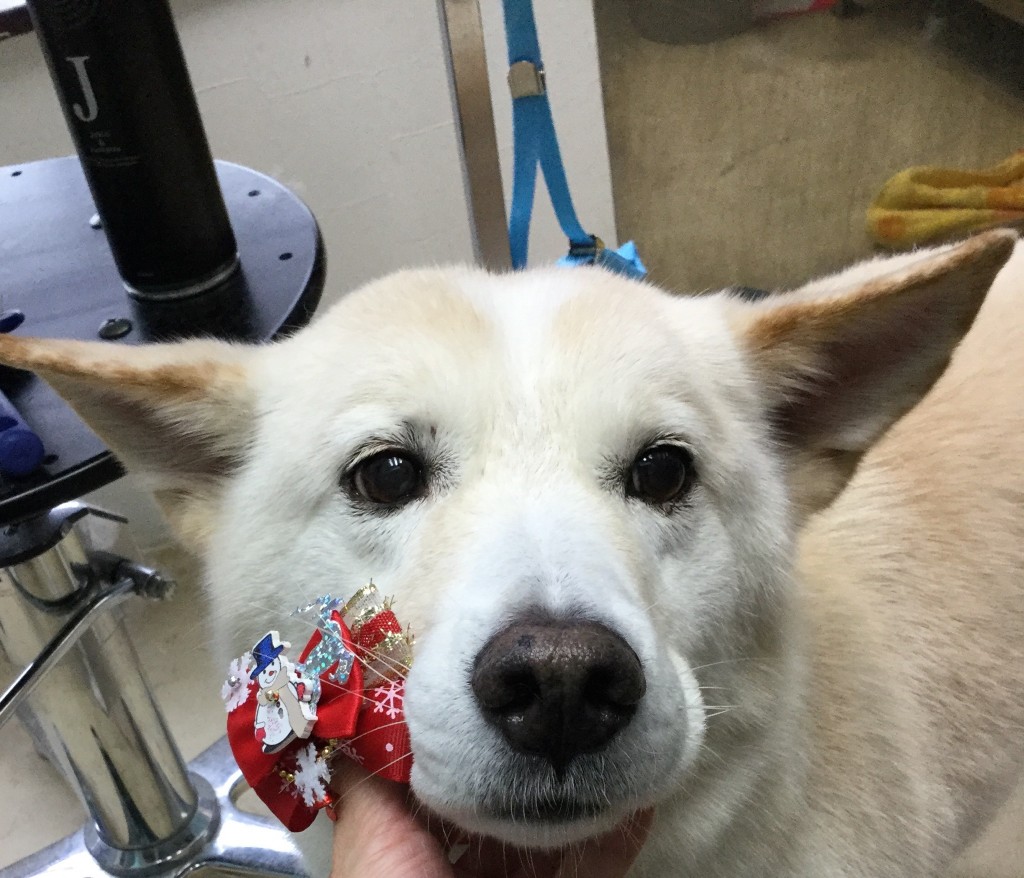 12565072-5A5E-4BB8-BB2A-34DA81C3215E