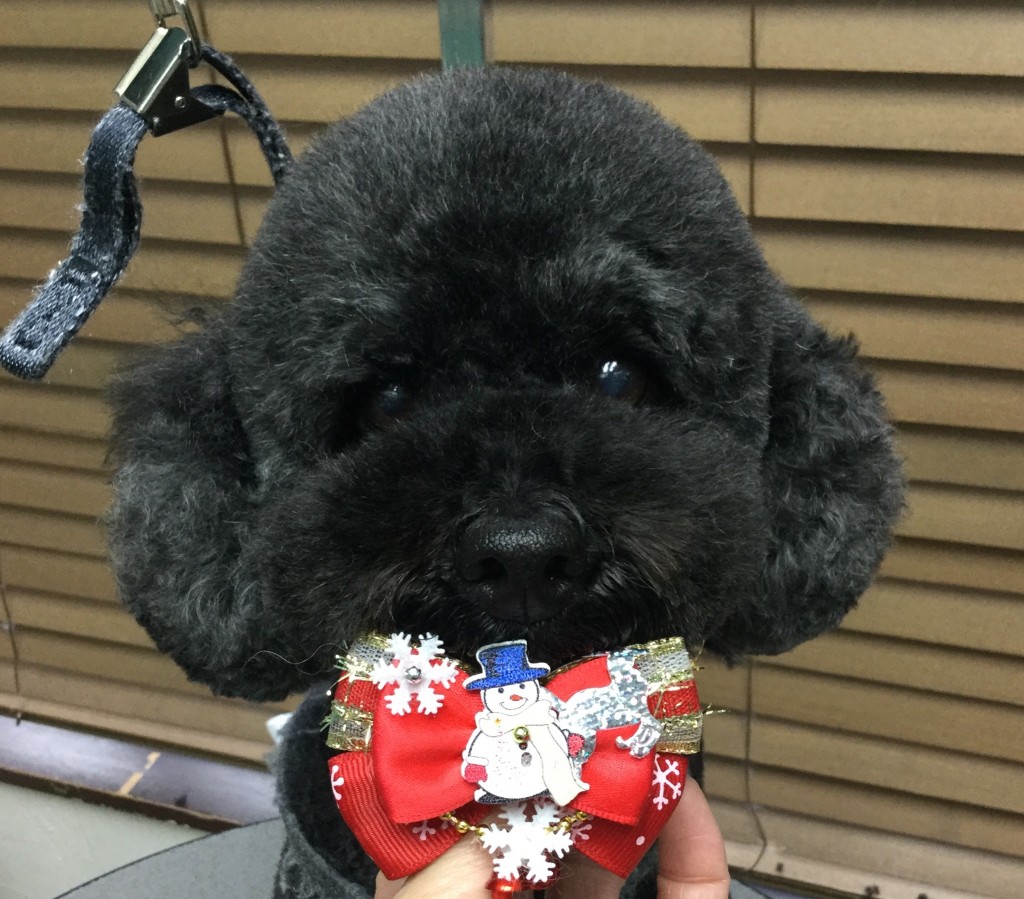 12E950B0-FF4B-4EB6-8B19-941E90375538