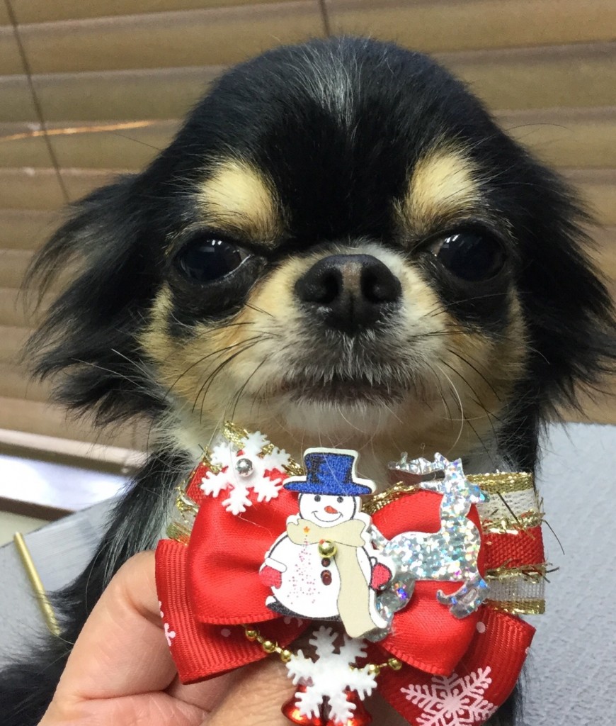 1331F00C-D06C-426B-9BC9-70747114E0B8