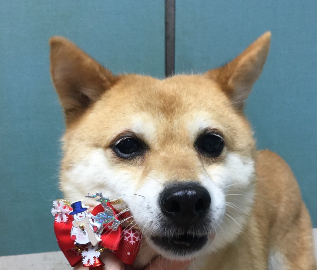 139EE066-A475-4B2F-9460-A81DD3582956