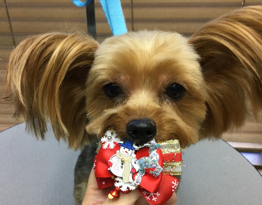 1ACDC59A-1561-447D-98EC-53FD3CD93540