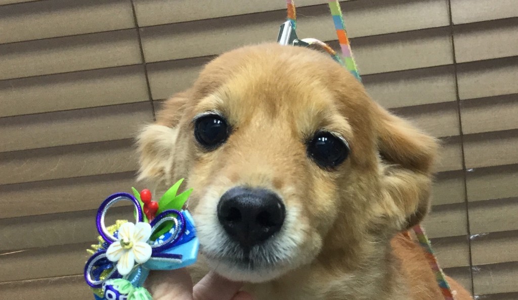 1B389698-522B-4822-836A-2A98C727547E