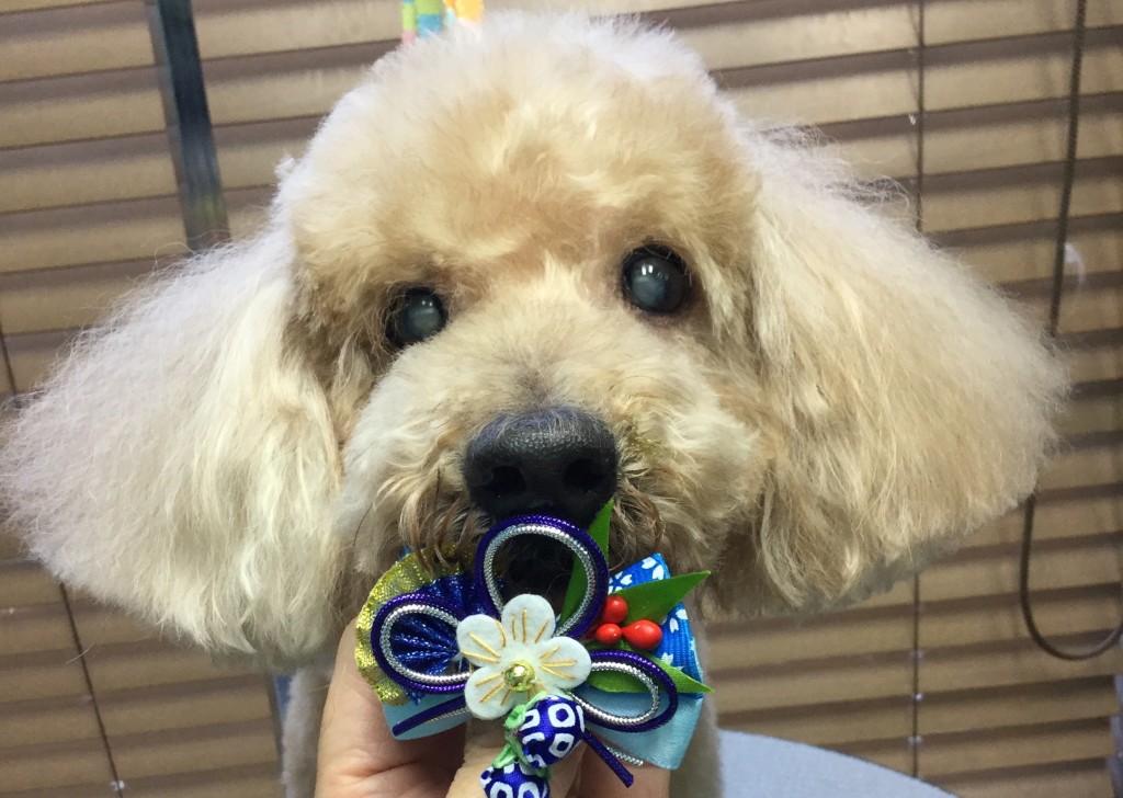 2283E5B2-68F4-4D80-BCE1-F7FD0BBFCBE5