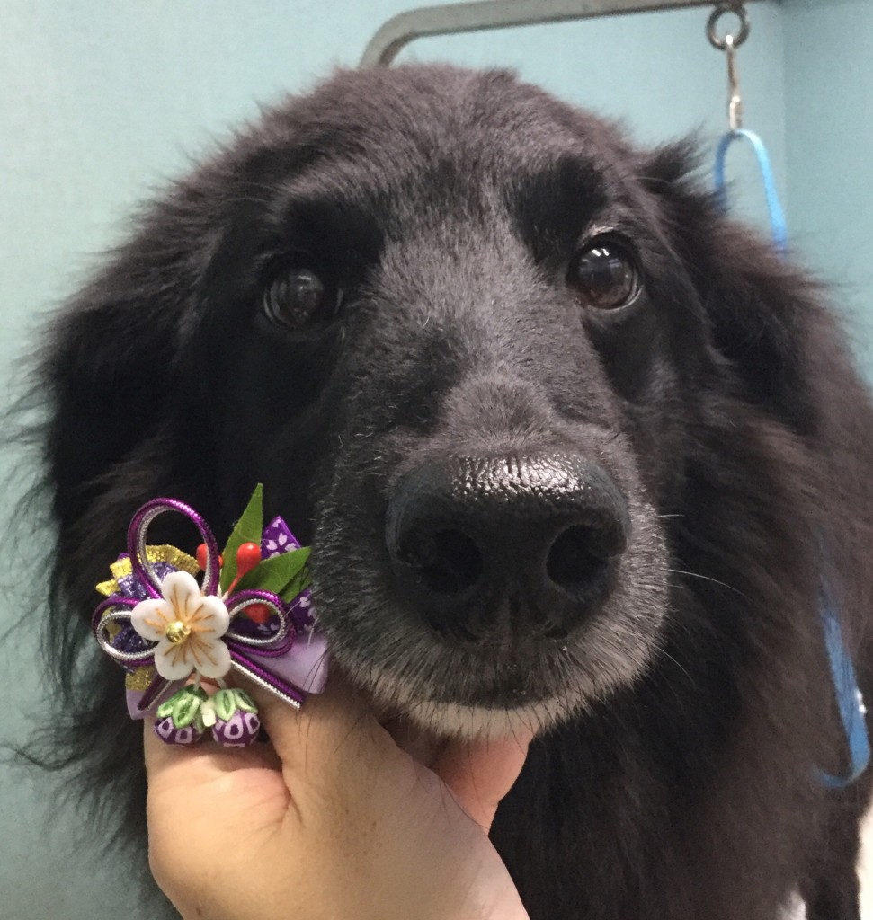 250E7E0D-2CCF-481C-8F70-0CA991FF41EC