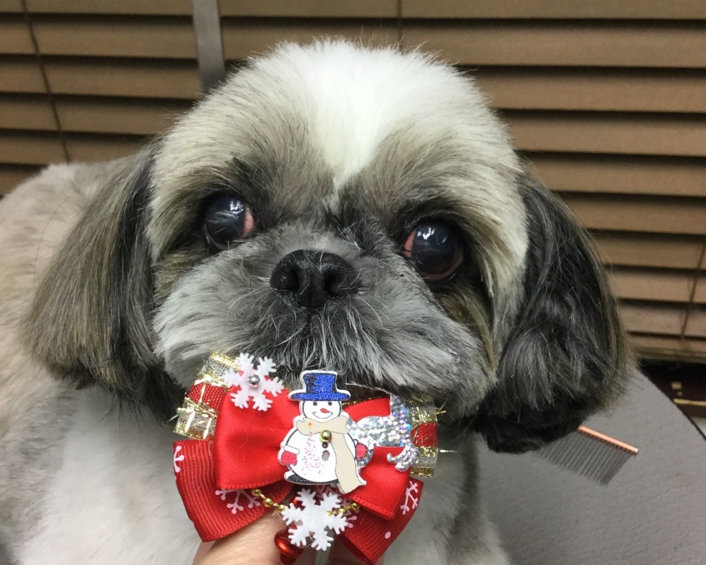 2C0F5B18-7662-4FE3-8054-EF4178830E93