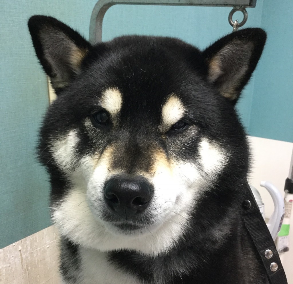 2CF3D17D-F396-4505-9839-1394F0355196