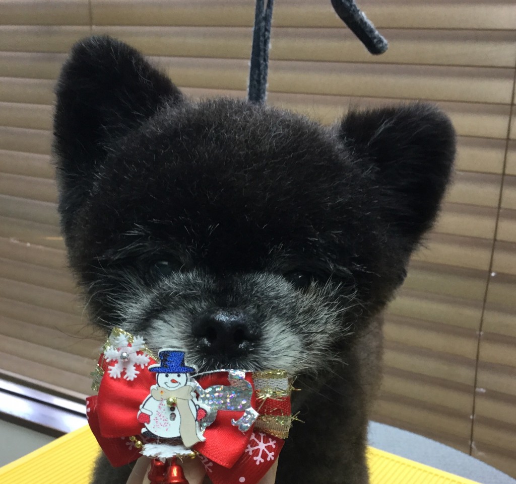 2DE9355D-F921-4D45-8205-A5F69C1B8F3E