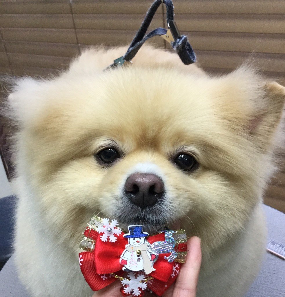 2FB0933C-4524-4C87-BD8D-69AF6C36EDE8