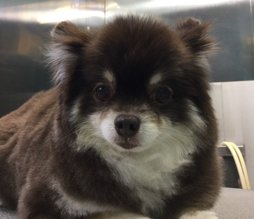 305C36C7-1B67-497B-8BD7-6F06DE27F57A