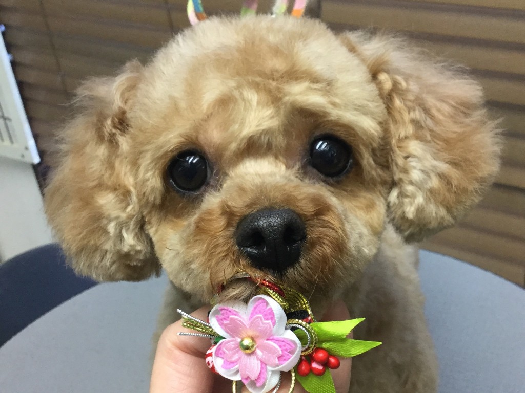 312CEA0F-53A4-469B-BD8F-1C7F1D2059B4