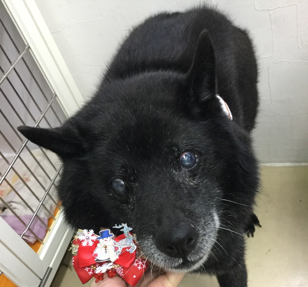 316CE9EA-F0B8-4457-95CD-3E0C59C96231