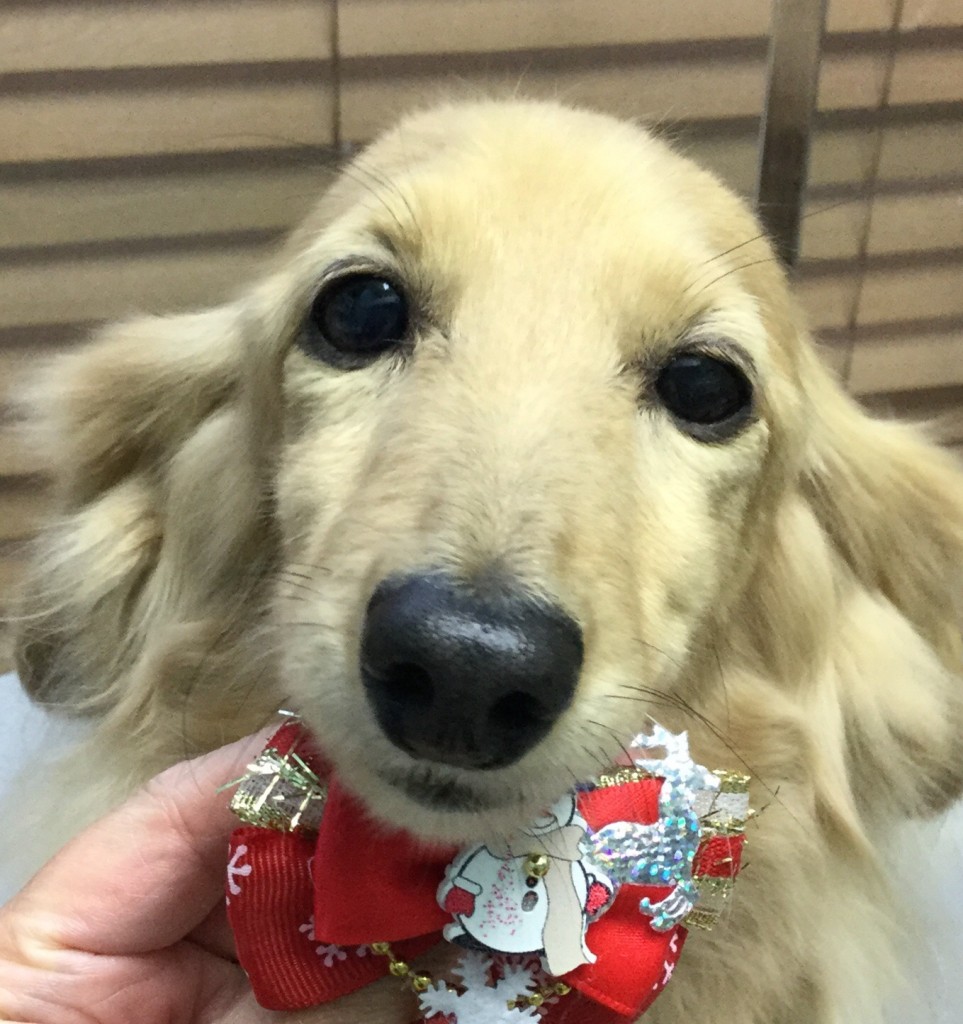 31DFE5E7-86F1-4B9C-83F5-AD728C9A86B6