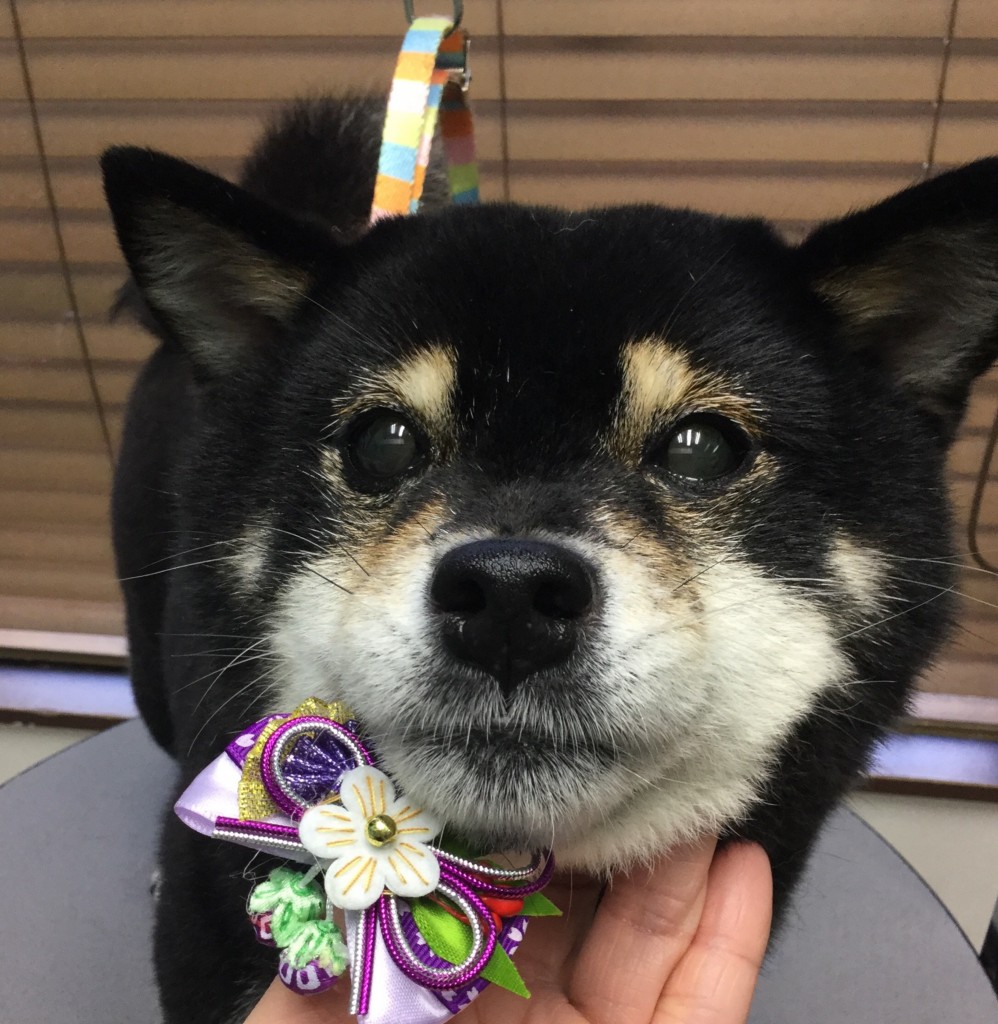 3645F743-BE1A-4363-BFA8-6C58A4AF931F