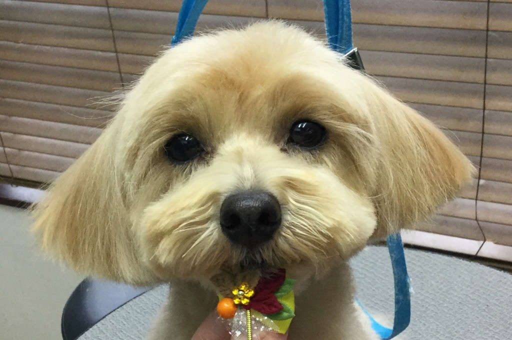 3DE61AA6-9DE1-4D4B-A4DD-ECF973E11C98