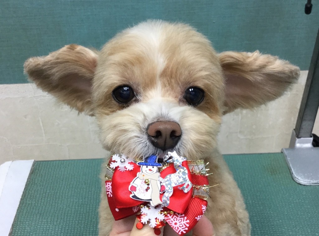 413B3057-8F94-49E5-A4F7-4982503D1F18