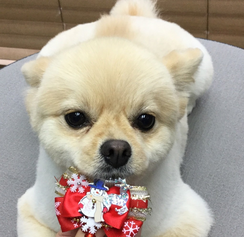 4594C8D1-50C8-4970-BEAB-2DCE717CA861