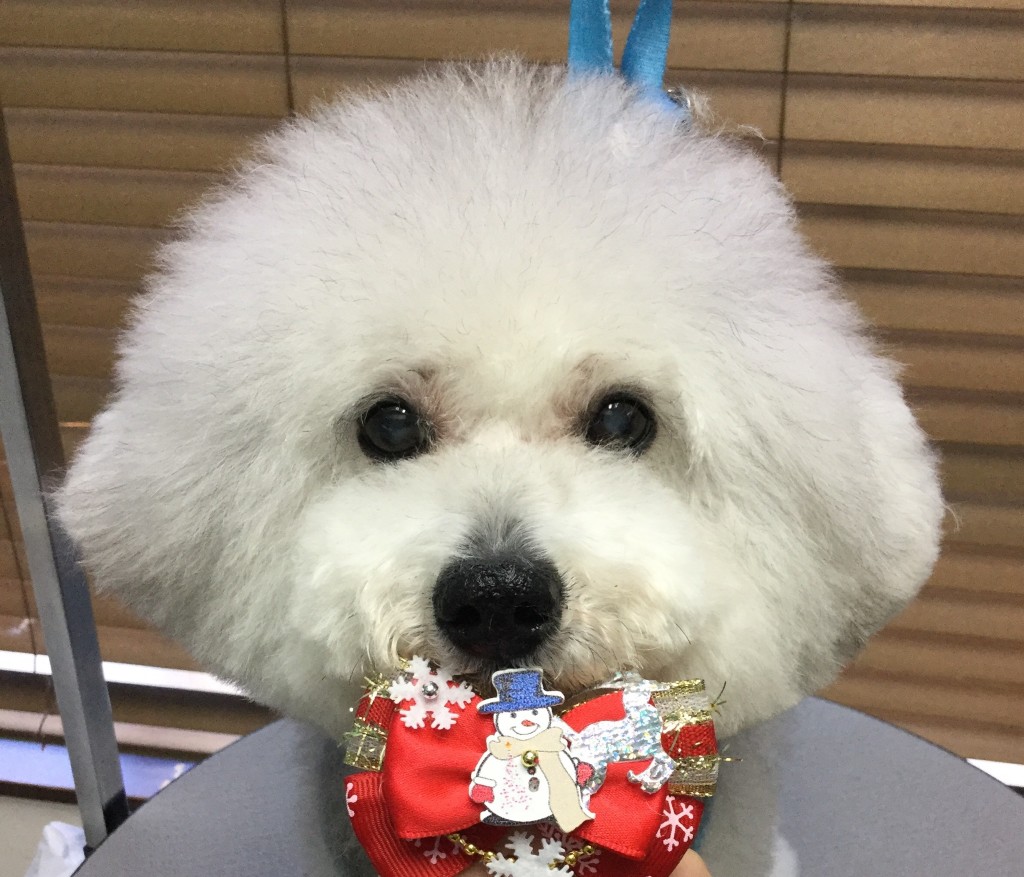 479E04A7-357B-4FB2-B030-A3E66AFFD221