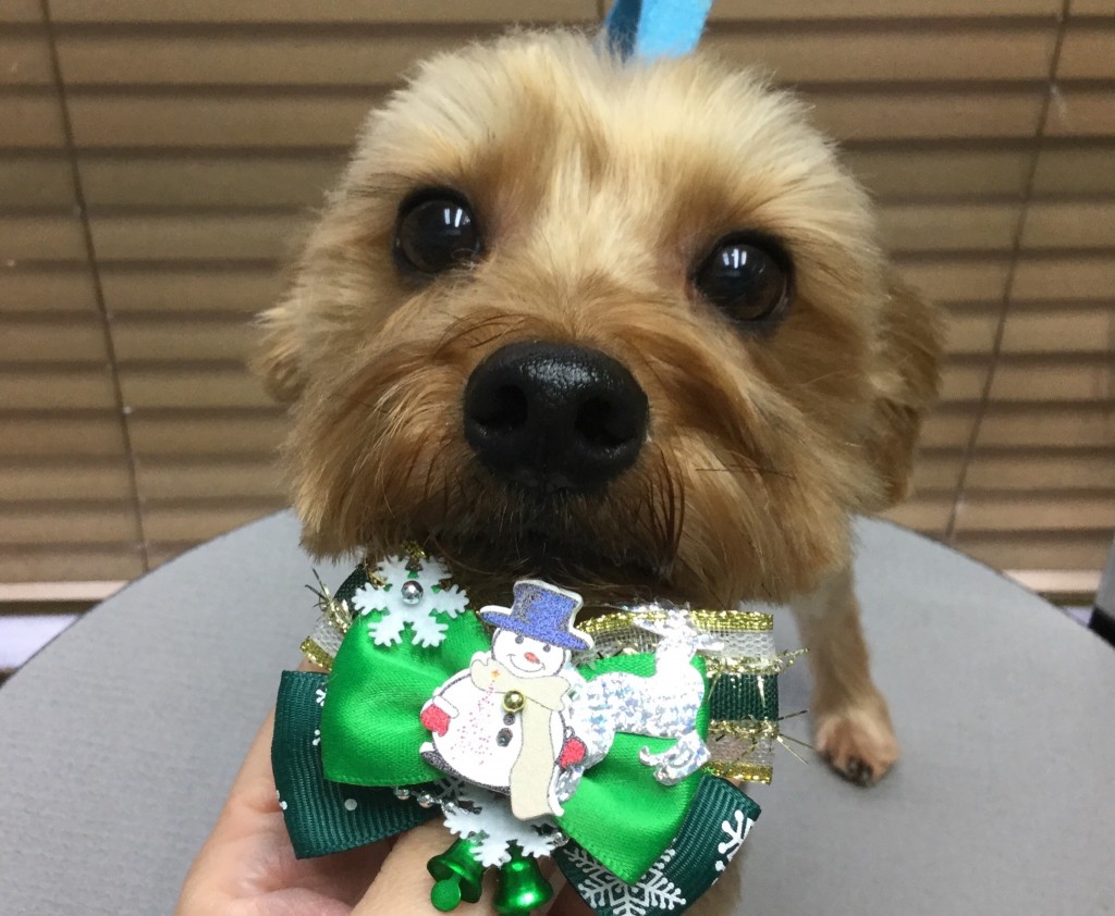 4A168356-9866-42CC-B351-80603256E626