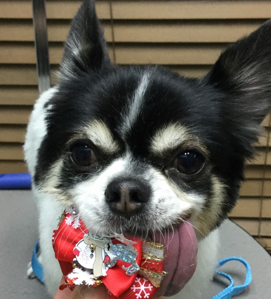 4A4A900D-70B2-4E70-B32B-99FC67E5B927