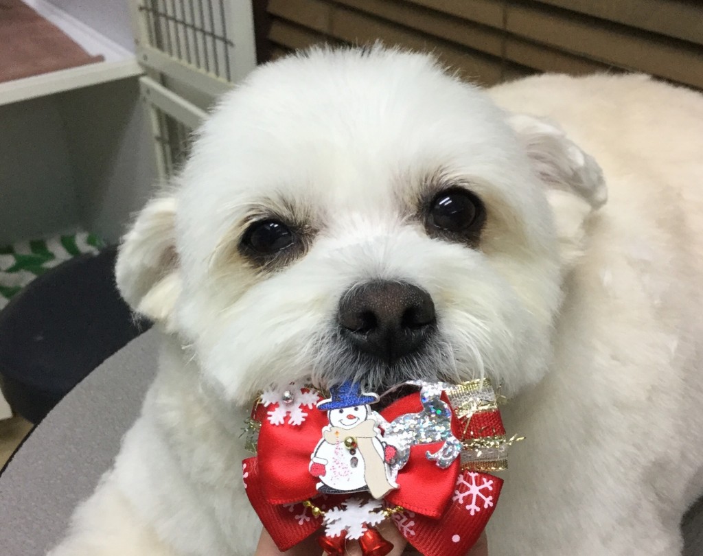 4BE064EC-E2E2-40B8-800A-467C3CFECD7C