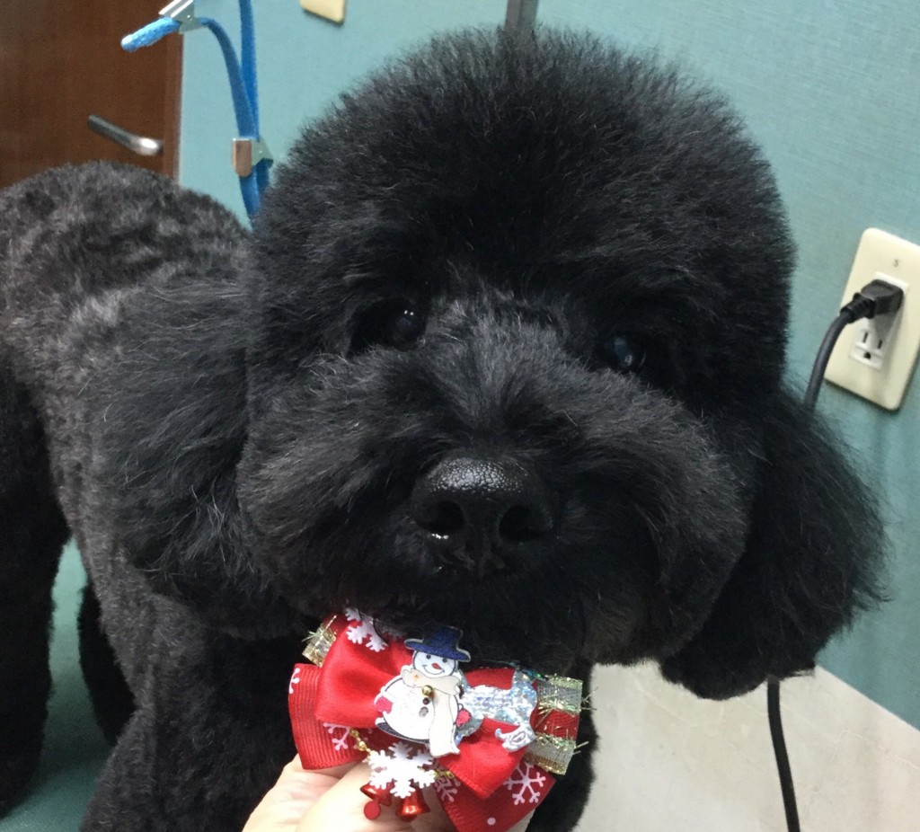 54DA4F64-D0CE-4008-8348-9A8C7D51D761