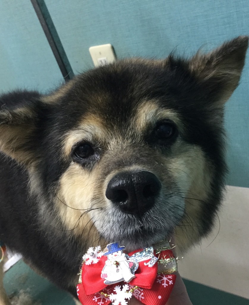 553AD519-F752-4547-8969-3CF1D1FD82AF