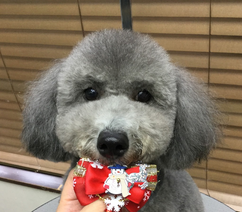 589E1002-F28C-4169-844F-B4CE95A7DC42