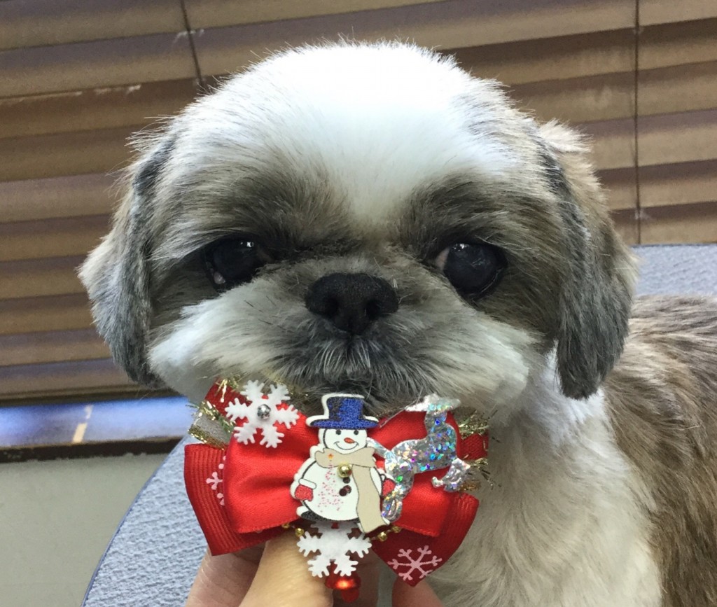 5B9942AD-49F1-4175-A110-E974A39BF8AC