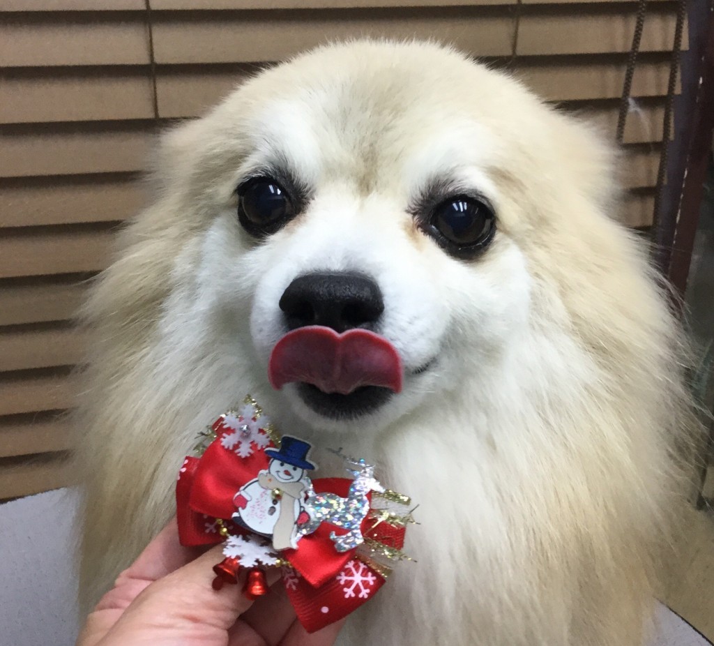 6115A588-8B61-4017-97D6-023D0D7B77A9