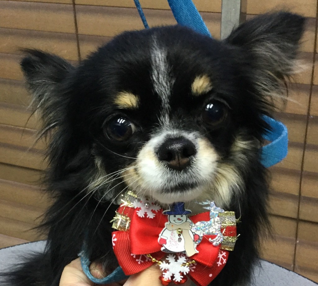 6118AAA0-0719-499F-A8A2-11D58FAC48A2