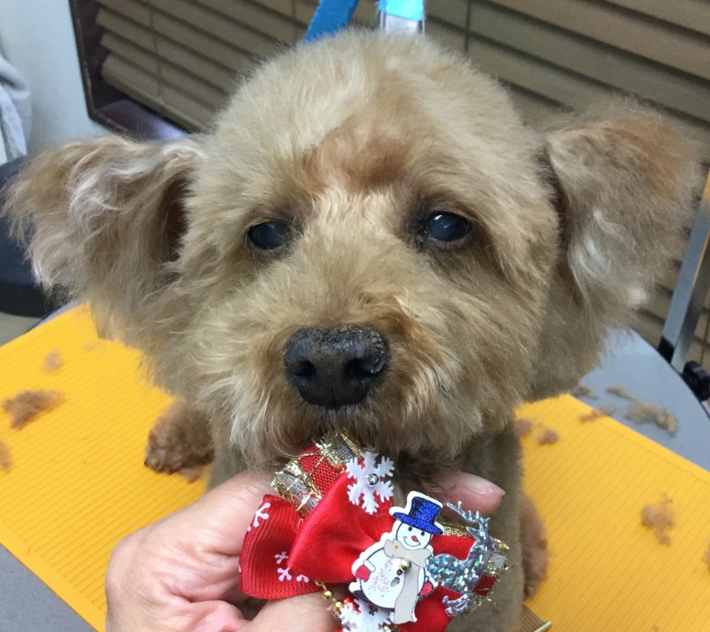 640D4B79-D4DA-4AE4-BE1A-4AA02C1052E3