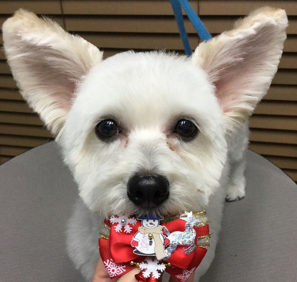 68F01613-838B-4D95-B7C9-A7F0FD26F1B7