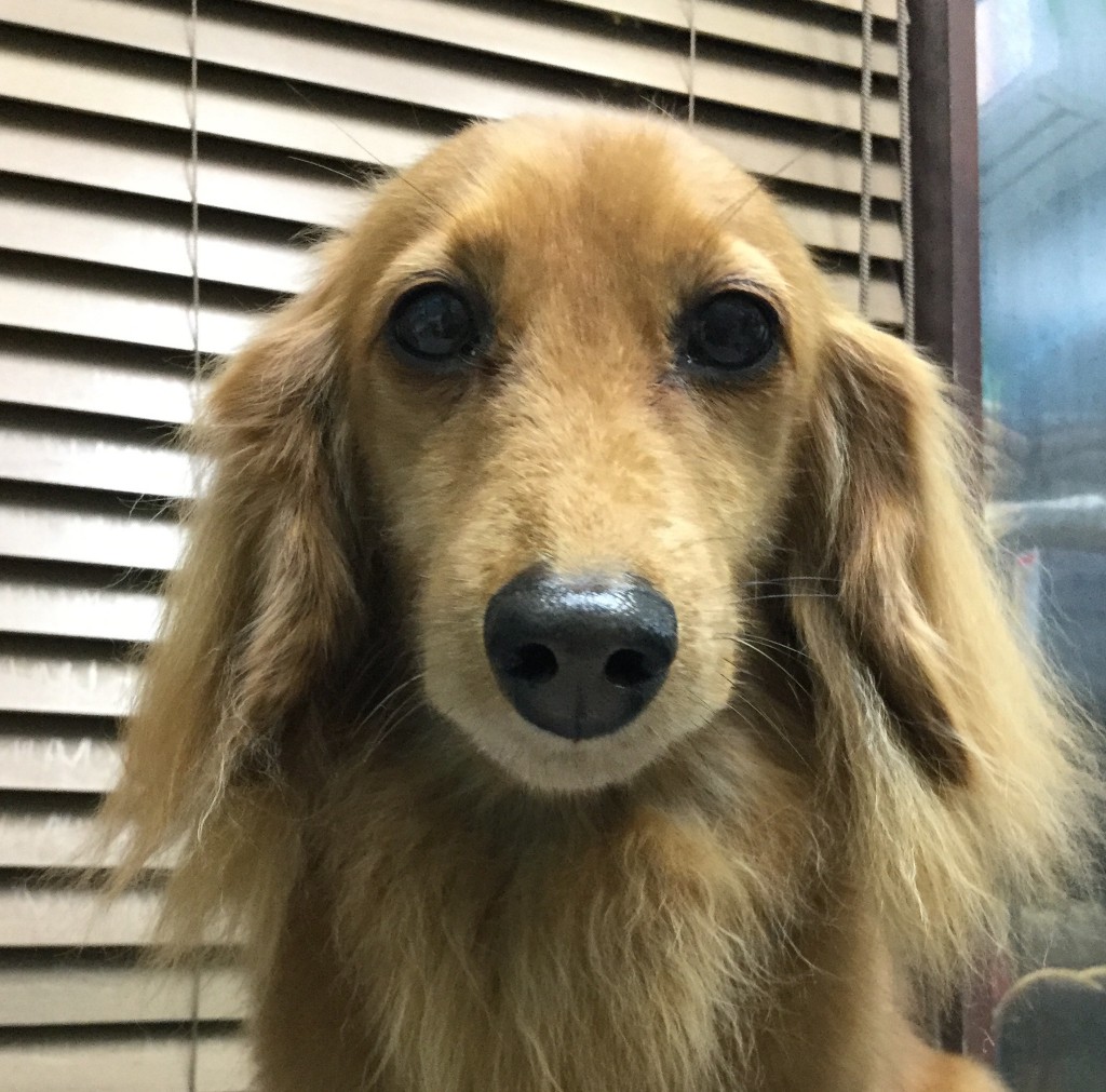 69420C28-5FA6-41EA-AE78-12B0679564BA