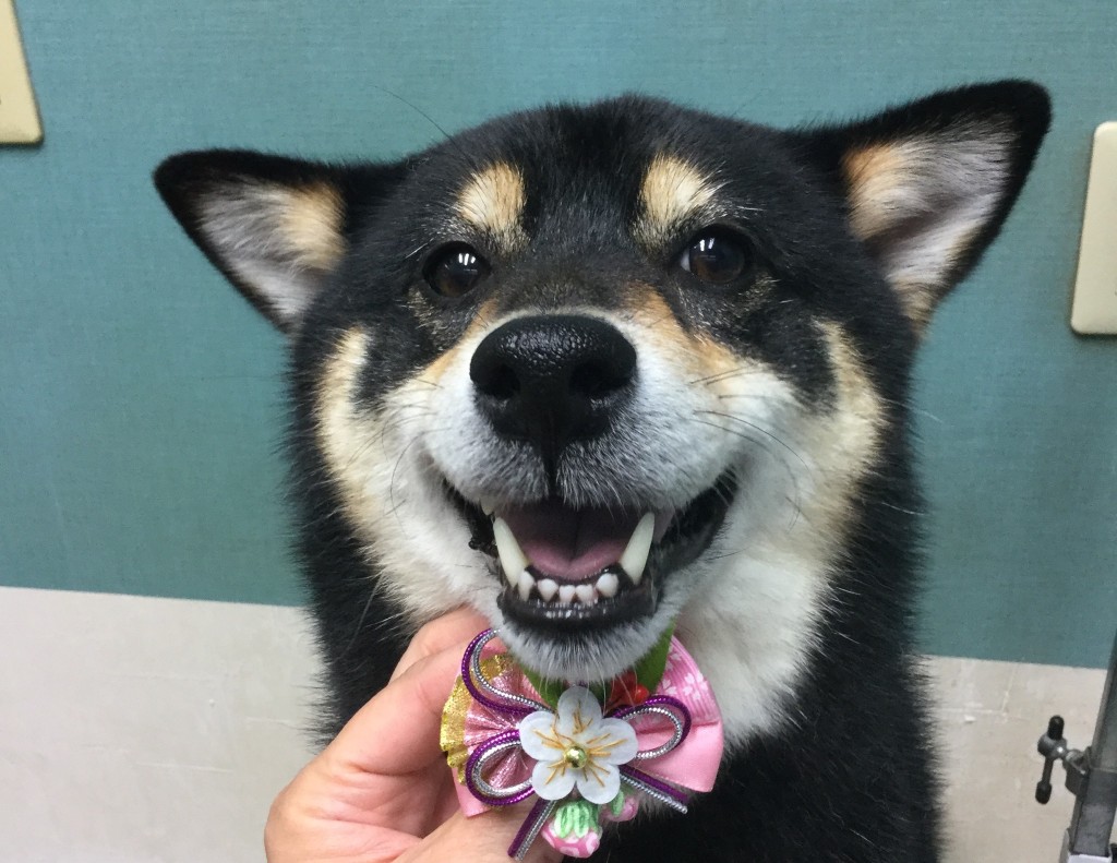 6BA77E21-4082-435C-8DF5-27CF0544B4F7